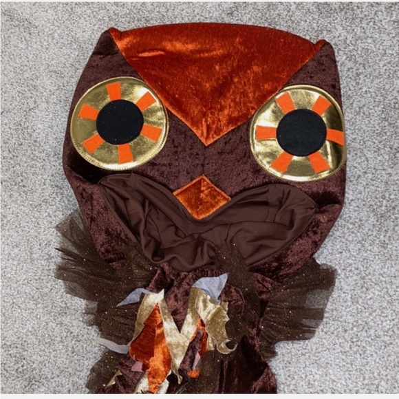 Chasing Fireflies Wishcraft Colorful Owl Costume Sz 16 Dress Head Wings Tulle - Picture 8 of 10